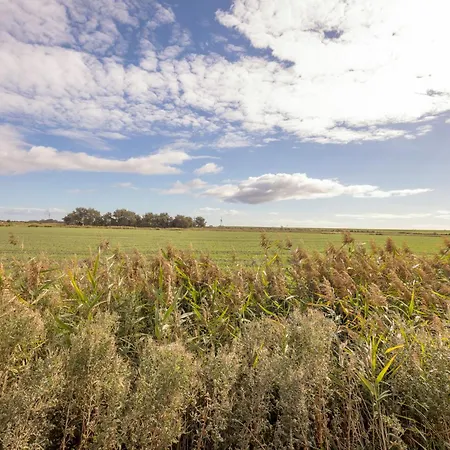 Bi Uns To Hus Dagebüll